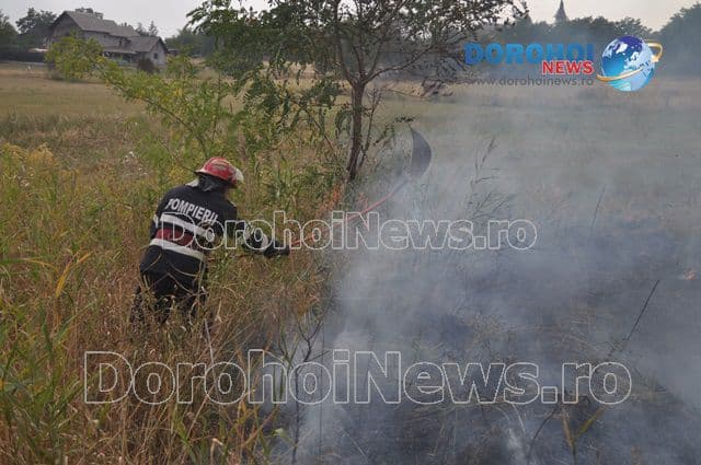 Incendiu Dealu Mare_12