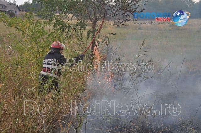 Incendiu Dealu Mare_13