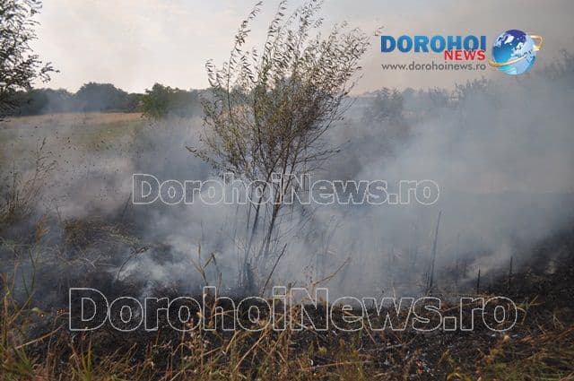 Incendiu Dealu Mare_14
