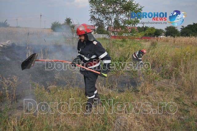 Incendiu Dealu Mare_16