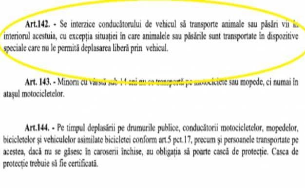 transport animale
