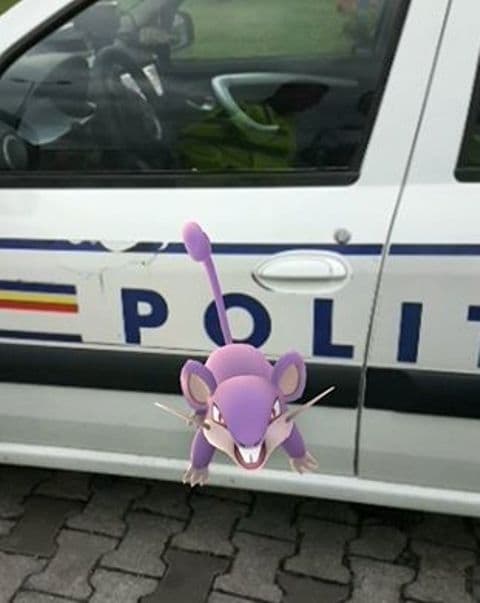 vanatoare pokemoni