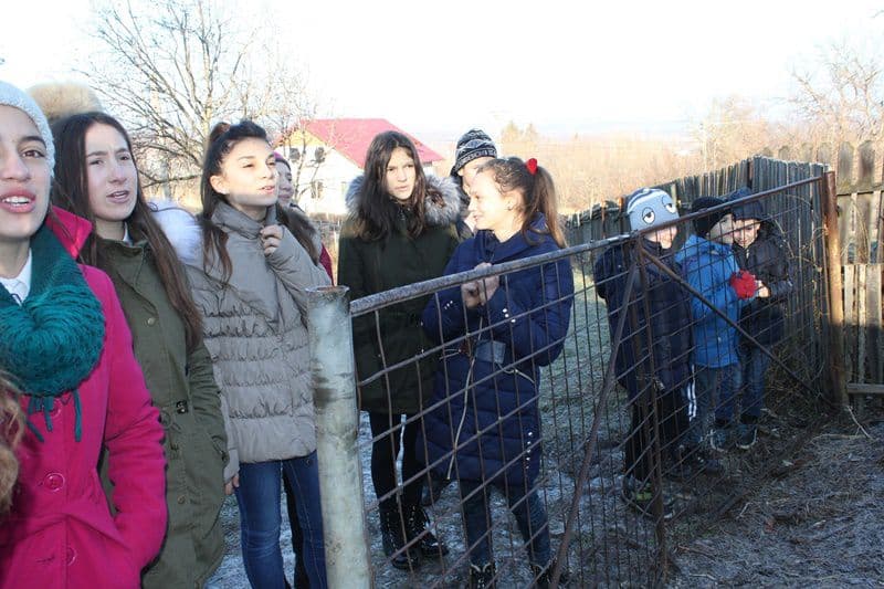 Daruind vei dobandi 010