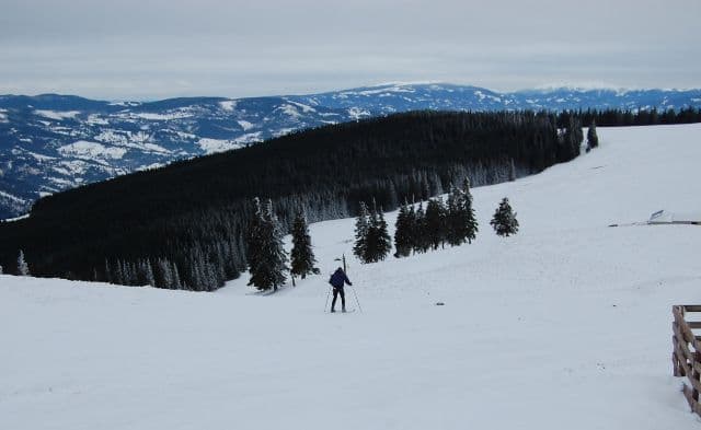 Proiect de supravietuire montana (5)