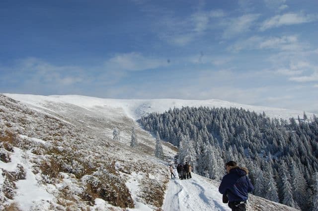 Proiect de supravietuire montana (8)
