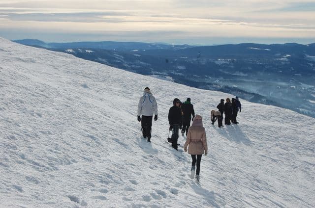 Proiect de supravietuire montana (9)