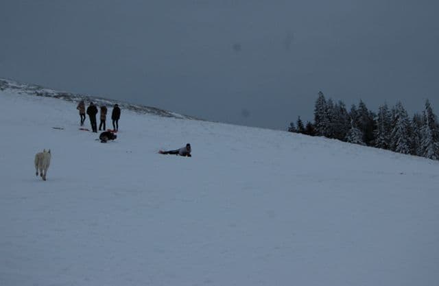 Proiect de supravietuire montana (10)