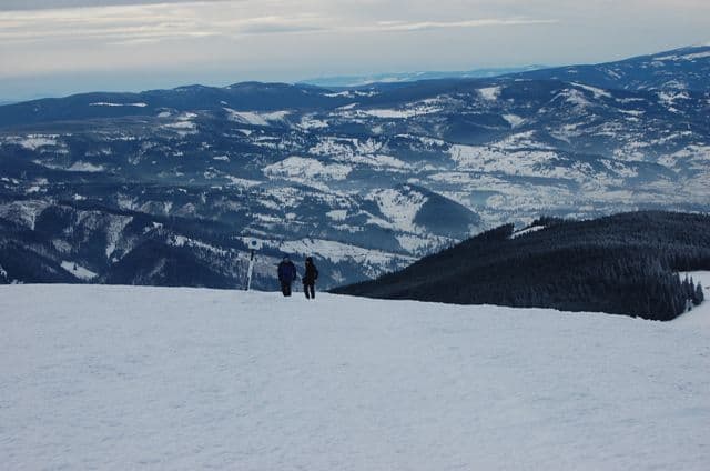 Proiect de supravietuire montana (12)