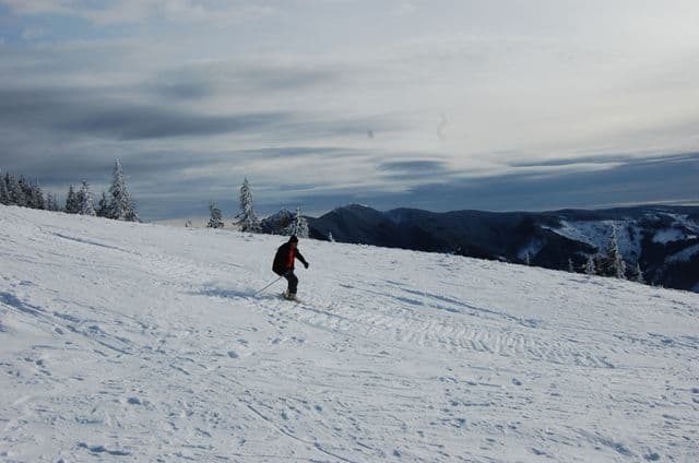 Proiect de supravietuire montana (13)