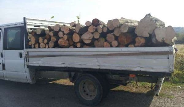 Material lemnos fără documente legale, confiscat de poliţişti