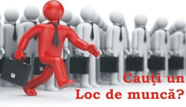 Ofertă AJOFM Botoșani: 463 locuri de muncă disponibile în județ!