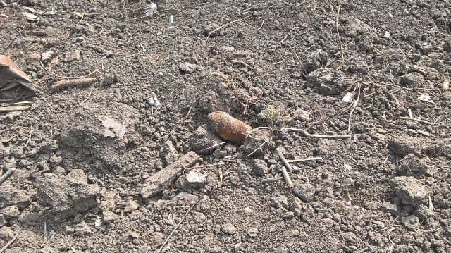 Muniţie găsită în gospodăria unui localnic din Albești - FOTO