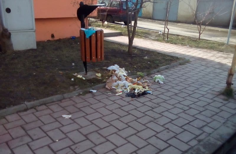 Primim la redacție – Dorohoiul, un oraș frumos, curat, cu oameni harnici și ...gospodari – FOTO