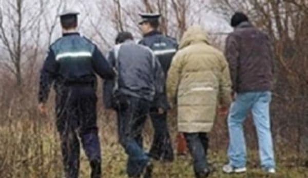 Doi botoșăneni prinși după ce au braconat o capră sălbatică