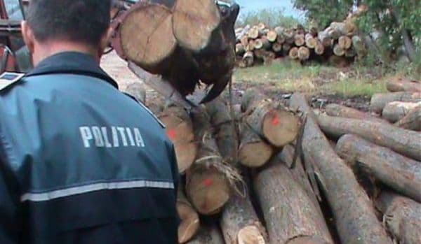 Acțiuni ale polițiștilor botoșăneni pentru combaterea ilegalităților din domeniul silvic!