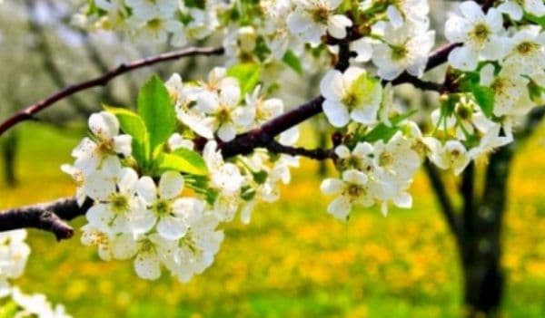 După iarna din aprilie, iată ce ne așteaptă până în iulie - prognoza meteo pe 3 luni