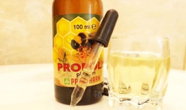 Tinctura de propolis stimuleaza imunitatea. Află ce întrebuințări mai are!