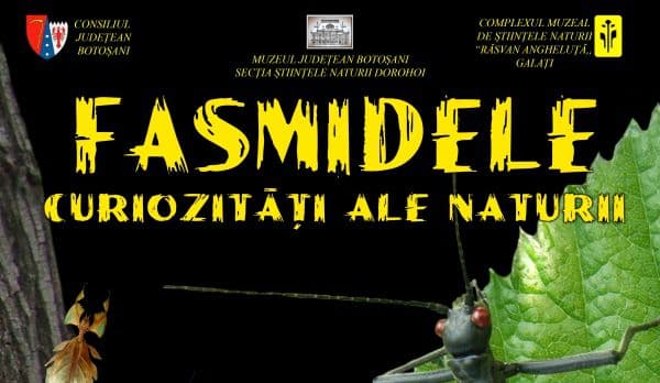 „Fasmidele-curiozităţi ale naturii” la Muzeul Ştiinţele Naturii Dorohoi