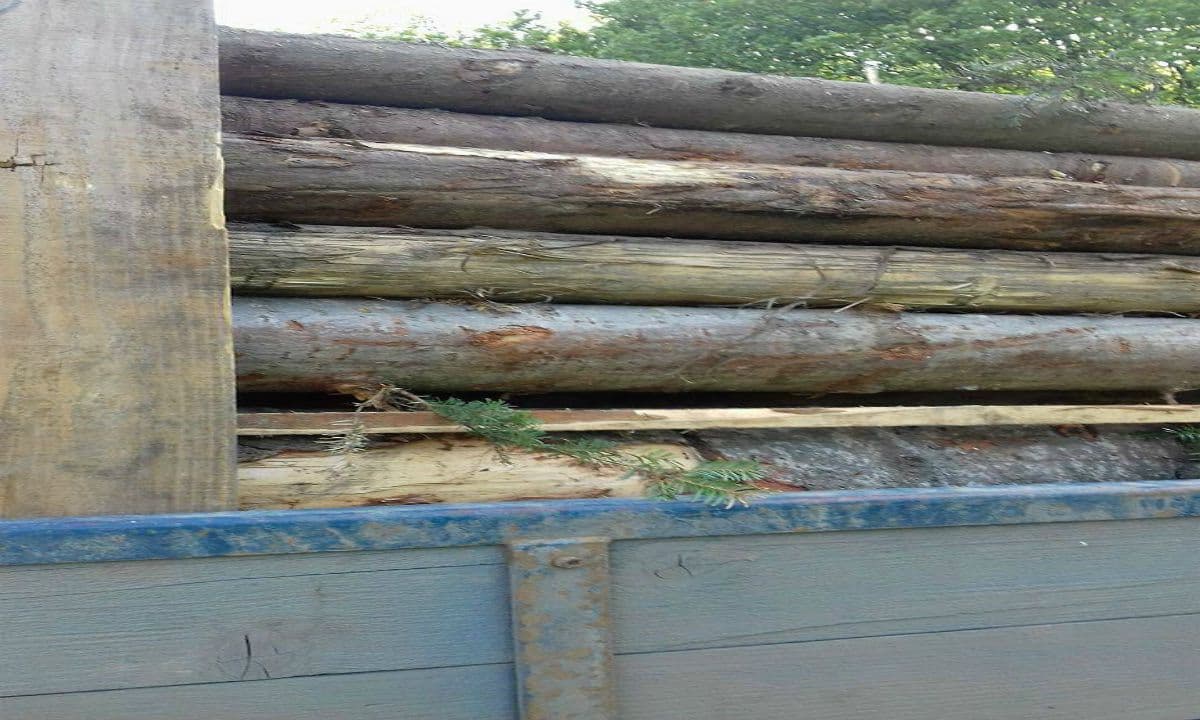 Transport ilegal de material lemnos depistat de poliţiştii de frontieră dorohoieni