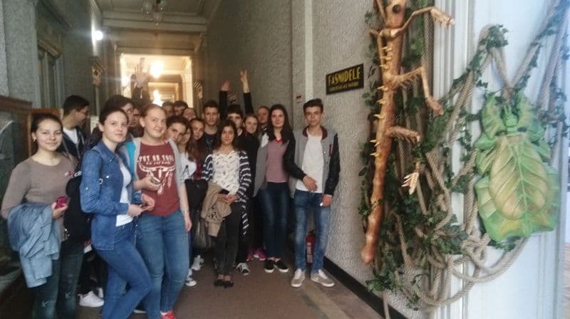Vernisajul expoziției „Fasmidele, curiozități ale naturii” la Muzeul de Stiintele Naturii Dorohoi - FOTO