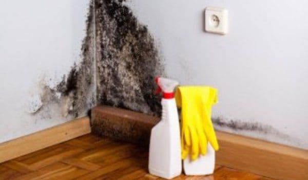 Cum scapi de mucegaiul din casă în mod natural şi pentru totdeauna!