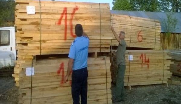 Cherestea fără documente legale, confiscată de poliţiştii botoșăneni