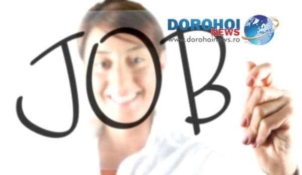 Peste 500 locuri de muncă disponibile în această săptamână în județul Botoşani. Vezi lista posturilor vacante!