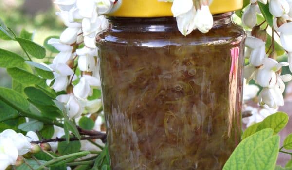 Dulceaţă din flori de salcâm: cea mai simplă reţetă. Va ieşi delicioasă!