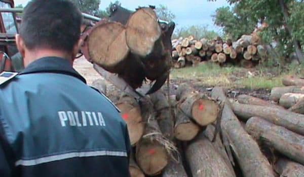 Material lemnos fără documente legale, confiscat de poliţişti