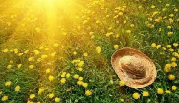 ANM anunţă temperaturi peste mediile perioadei, în intervalul 30 mai – 11 iunie
