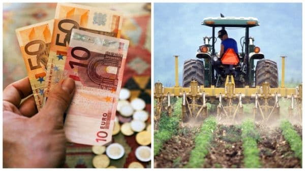 Suprafeţe agricole pentru care nu se acordă subvenţii
