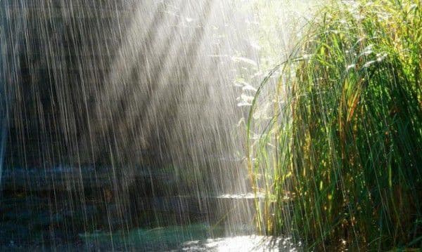 Alertă meteo: COD GALBEN de fenomene periculoase pentru județul Botoșani: furtuni şi grindină