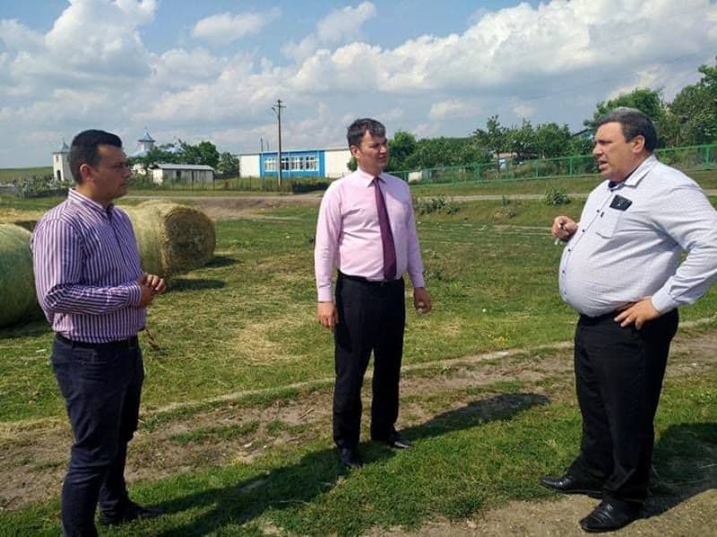 Soluții identificate pentru asigurarea hranei animalelor - FOTO