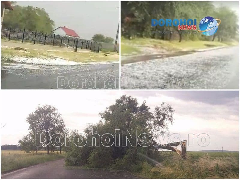 Furtuni violente în județul Botoșani! Grindină și copaci căzuți pe carosabil - FOTO
