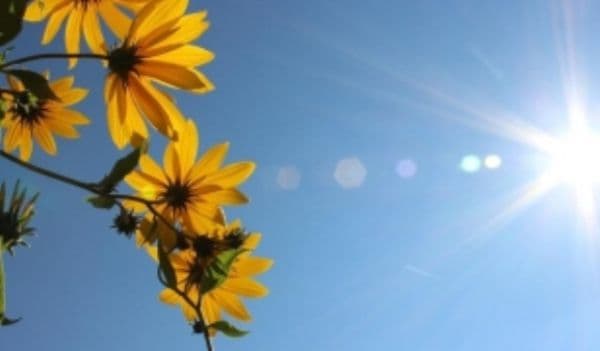 ANM: Prognoza meteo pentru iulie – septembrie. Lunile iulie și august, sub semnul deficitului de precipitații
