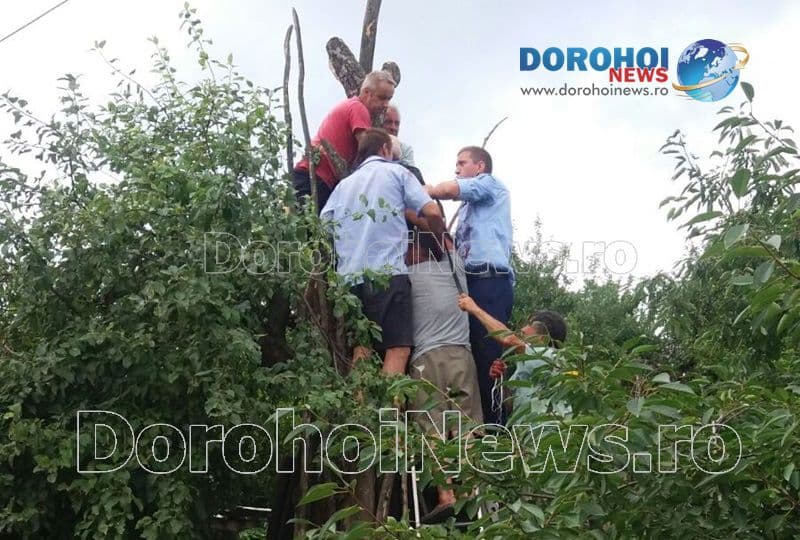 Incident grav la Hilișeu-Horia! Bărbat în stare critică după ce drujba cu care tăia un copac i-a amputat antebrațul