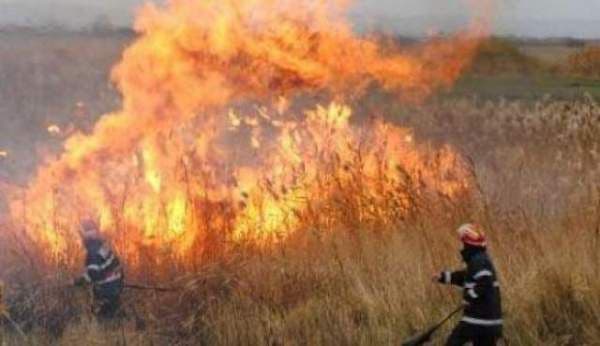 Campanie de recoltare a cerealelor fără incendii!