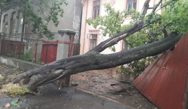 Fenomenele meteo extreme se vor intensifica. Populaţia trebuie să ţină cont de alerte!