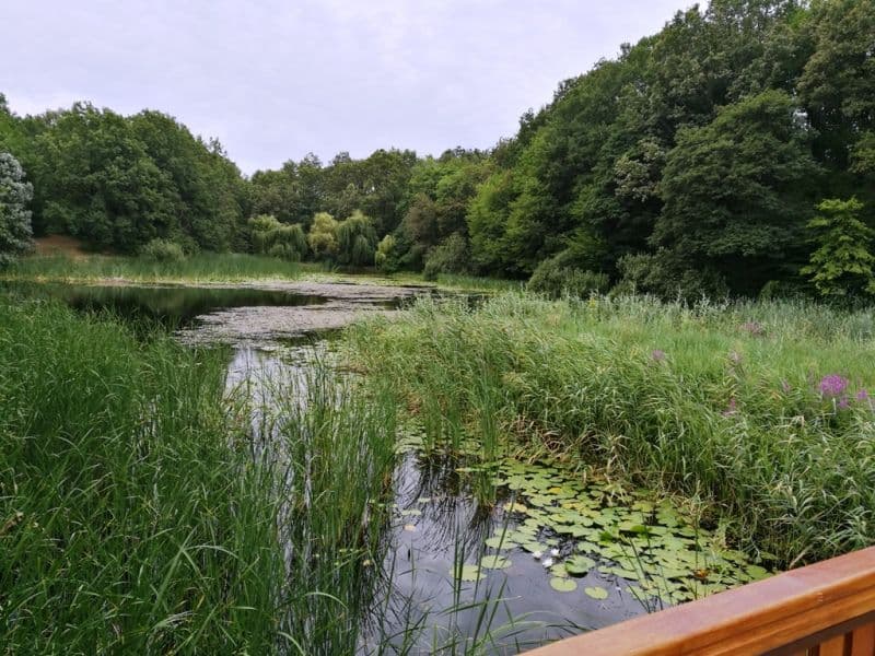 Vizită neanunțată a vicepreședintelui CJ Dorin Birta, la Lacul cu Nuferi de la Ipotești - FOTO