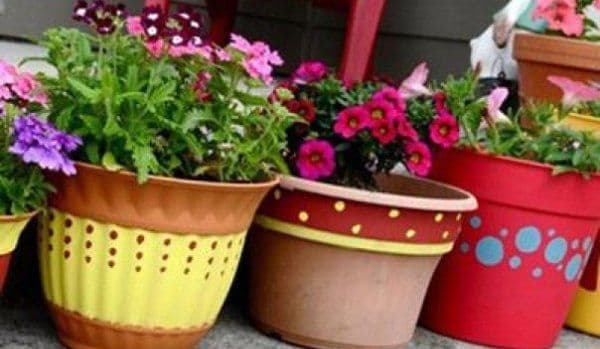 Ce se întâmplă dacă uzi florile cu suc acidulat. Trucul de care te vei folosi de acum înainte