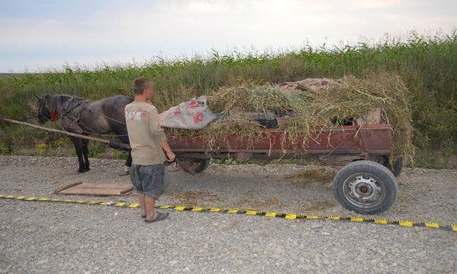 Atelaje încărcate cu ţigări de contrabandă, reţinute la frontieră - FOTO