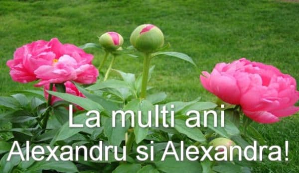 Mesaje, urări, sms-uri şi felicitări: LA MULŢI ANI, Alexandru, Alex şi Alexandra