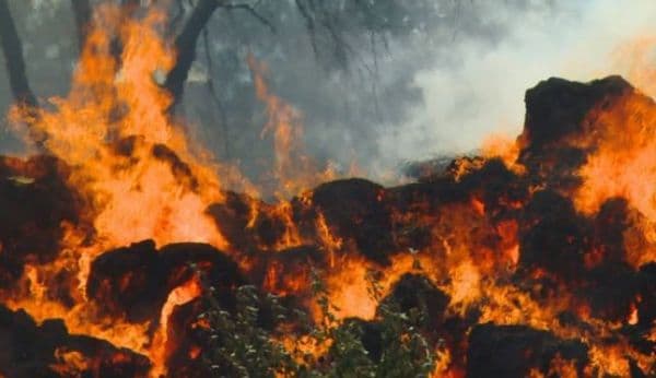Incendiu de amploare la Havârna! 800 de baloţi de furaje mistuite de flăcări