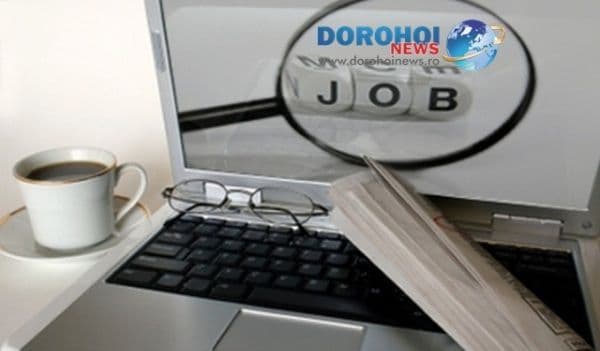 Ofertă AJOFM Botoșani: 907 locuri de muncă disponibile în județ!