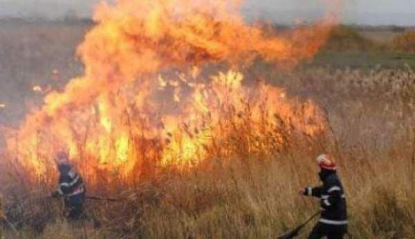 Stop incendiilor de vegetaţie uscată!