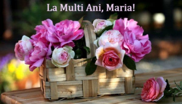 Cele mai frumoase mesaje şi felicitări. Spune „LA MULŢI ANI” de Sfânta Maria