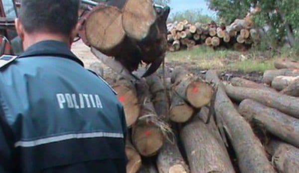 Material lemnos fără documente legale, confiscat de poliţiştii botoșăneni