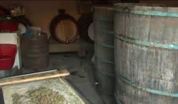 Vinul pus la fermentat poate ucide!