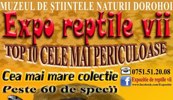 Expoziţie de „Reptile vii”, la Muzeul de Ştiinţele Naturii Dorohoi!