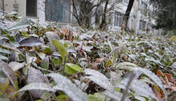 Val de frig peste România: Prognoza meteo pentru următoarele 3 zile